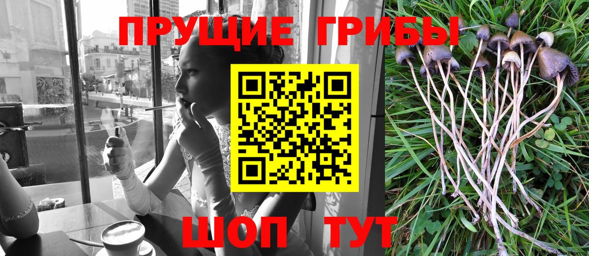 Псилоцибиновые грибы Magic Shrooms Камышлов