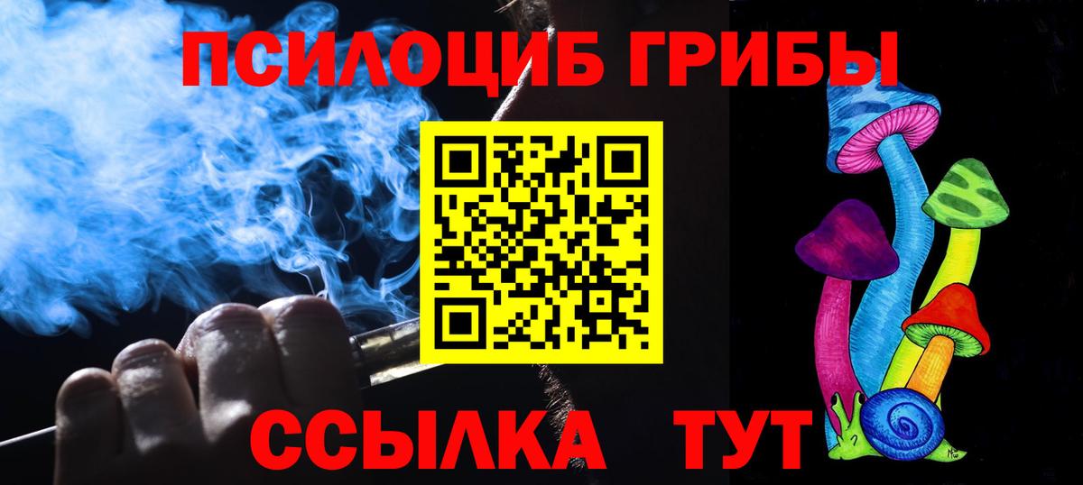 Альфа ПВП Камышлов