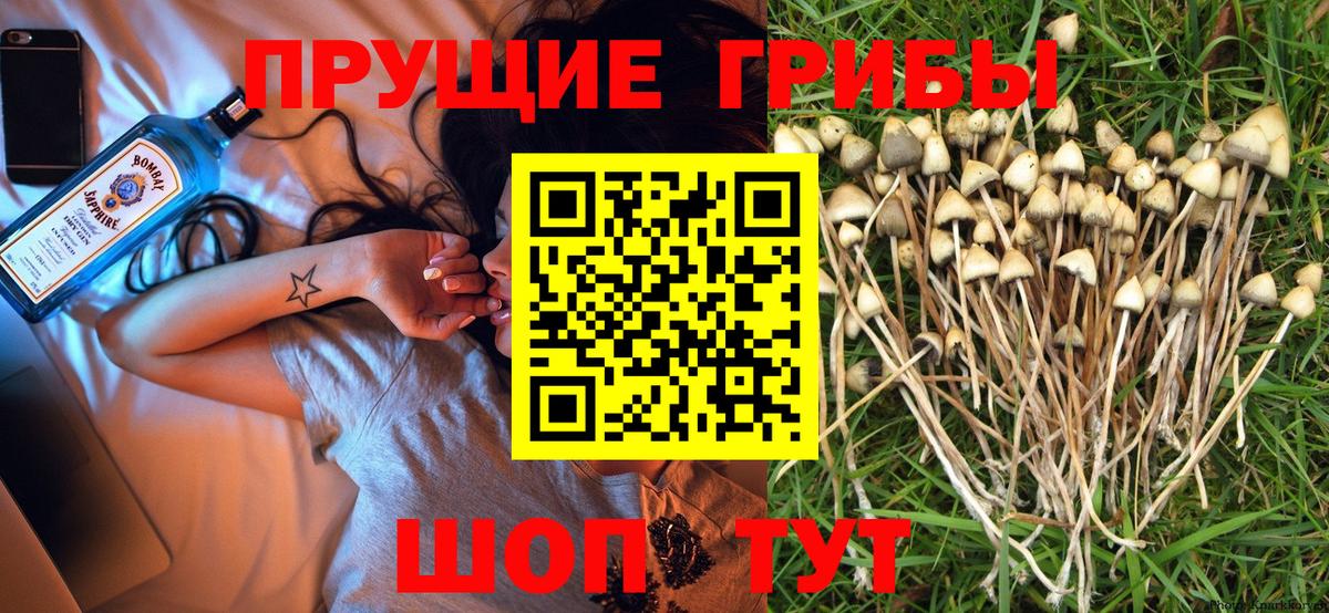 Камышлов  Галлюциногенные грибы мицелий  Вход с VPN  Псилоцибиновые грибы Magic Shrooms 